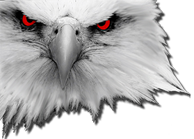 2iiS Marketiing Inc. for Marketing, Search Engine Optimization, Graphic &amp; Branding Design Services in BC lower mainland and fraser valley